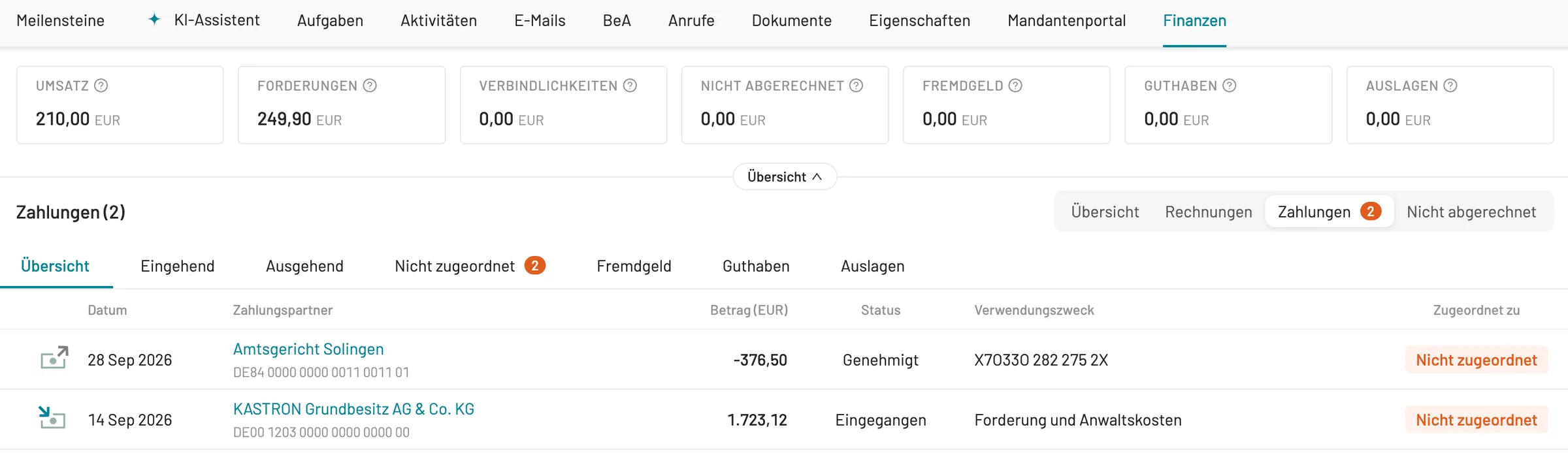 Zahlungen in caseflow